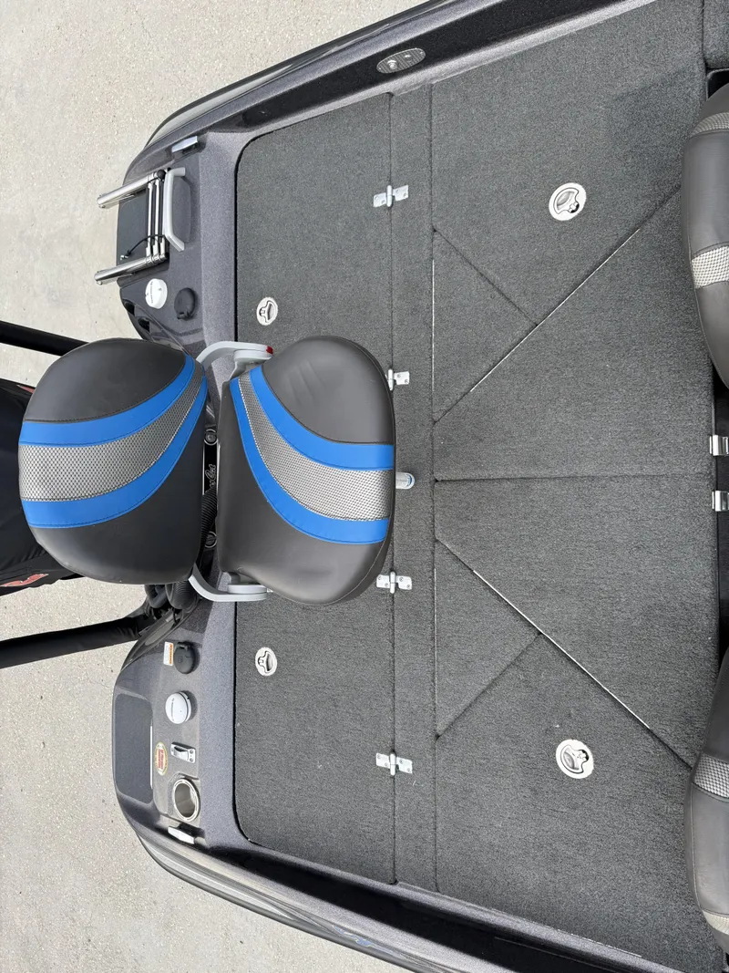 Slide: The Image of Bass Cat Eyra 2021 - 9