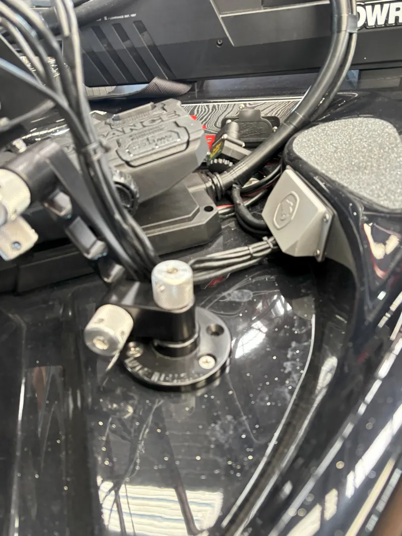 Slide: The Image of Bass Cat Cougar FTD SP 2025 - 15