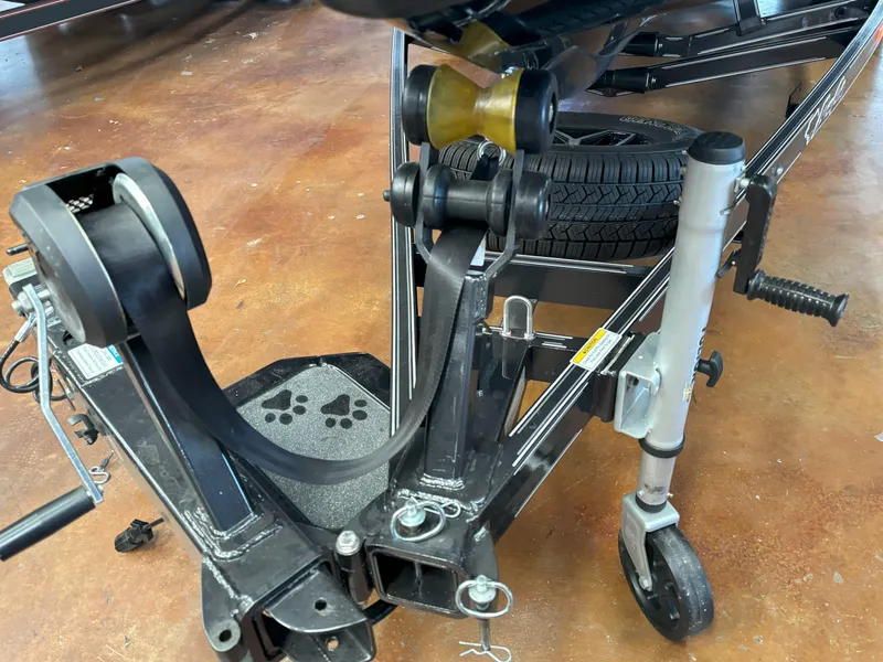 Slide: The Image of Bass Cat Cougar FTD SP 2025 - 23