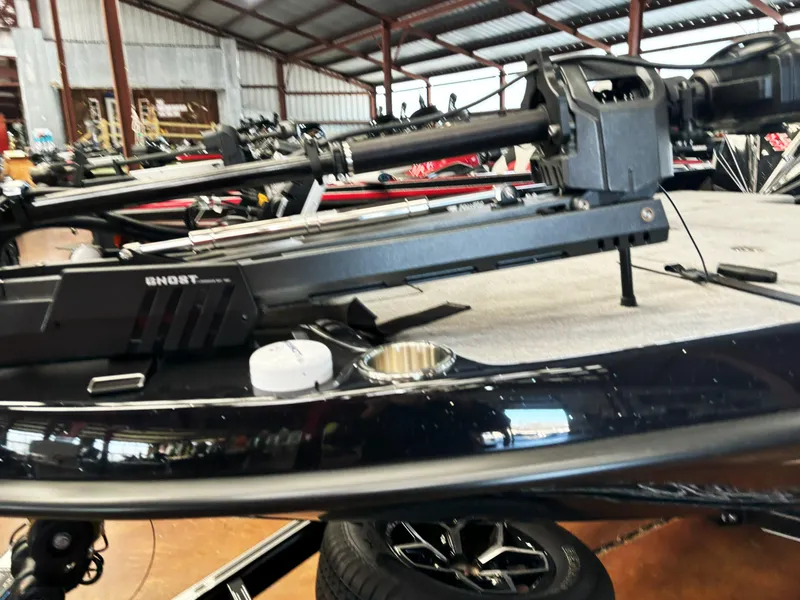 Slide: The Image of Bass Cat Cougar FTD SP 2025 - 6