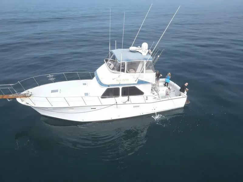 The Image of 1979 Pacifica 44 Flybridge yacht on calm ocean waters, featuring a spacious deck and flybridge. - 0