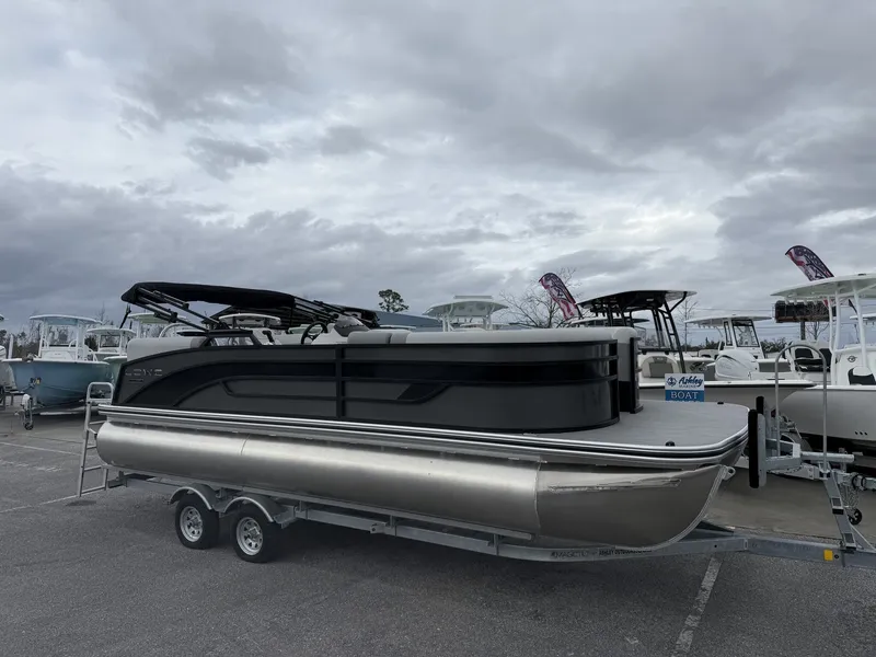 The Image of Lowe Ss 230 2025 - 1