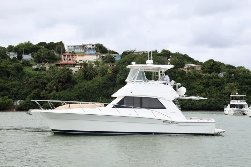 The Image of 2000 Riviera Flybridge Convertible yacht cruising near lush, green shoreline. - 0