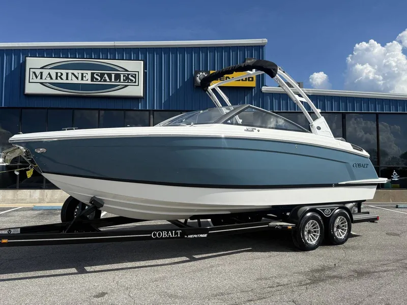 The Image of Cobalt R6 2025 - 1