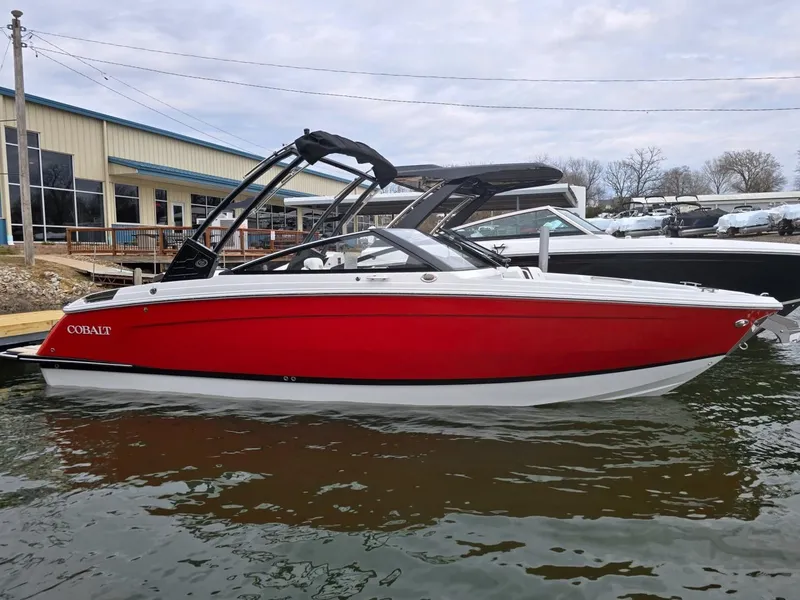 The Image of Cobalt R6 2025 - 1