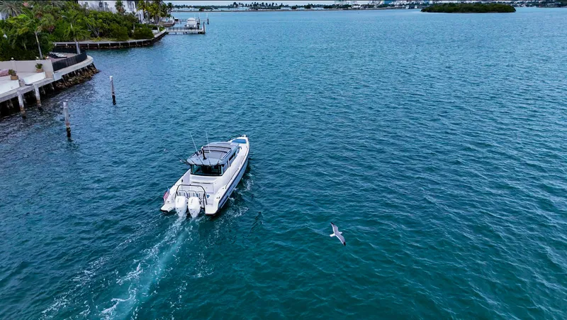 Slide: The Image of Axopar 37 XC CROSS CABIN 2023 cruising in blue waters near a dolphin. - 16