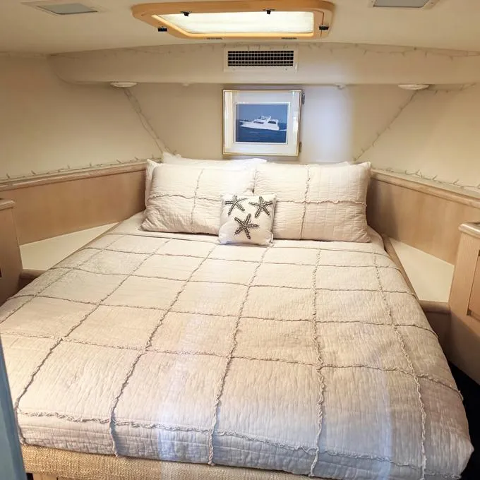 Slide: The Image of Forward VIP Stateroom - 35