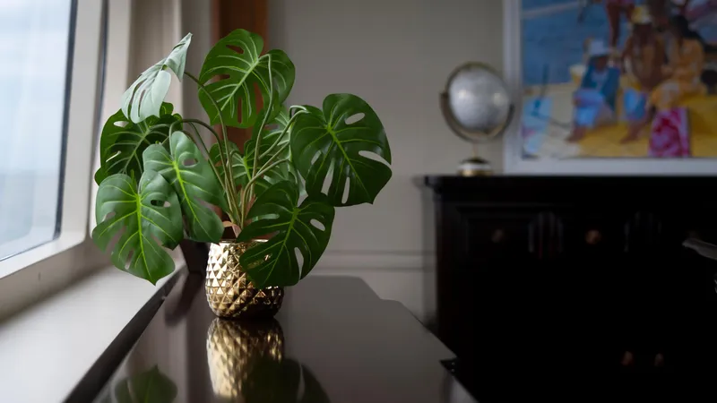 Slide: The Image of Stephens Brothers Expedition 1975 - 79