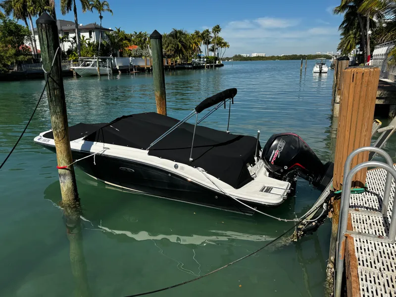Slide: The Image of 2019 Sea Ray SPX 190 OB boat docked in a serene marina setting. - 0