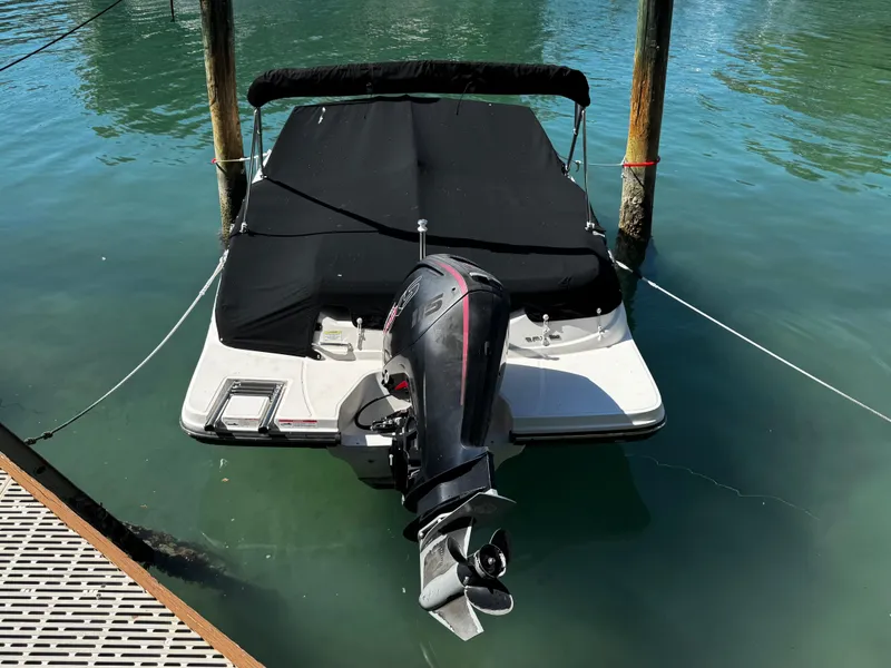 Slide: The Image of 2019 Sea Ray SPX 190 OB boat docked with black cover and outboard motor. - 2