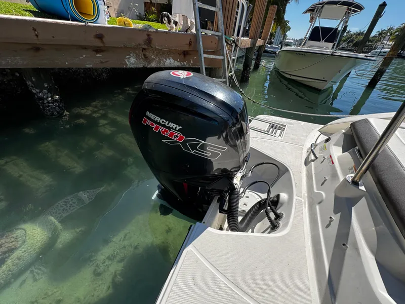 Slide: The Image of 2019 Sea Ray SPX 190 OB with Mercury Pro XS outboard motor docked by water. - 5