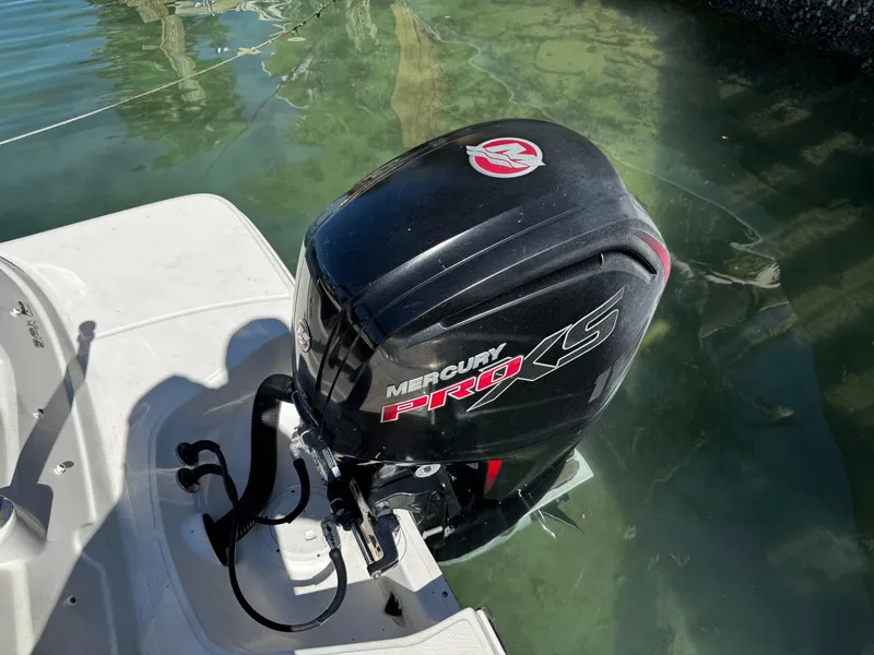 Slide: The Image of 2019 Sea Ray SPX 190 OB with Mercury Pro XS outboard motor in water. - 6