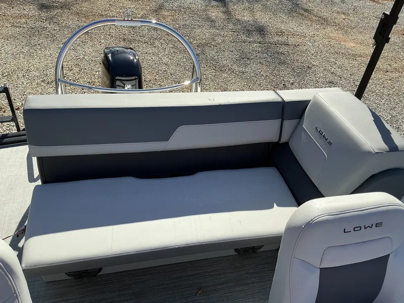 Slide: The Image of Lowe LS 170 2025 - 5