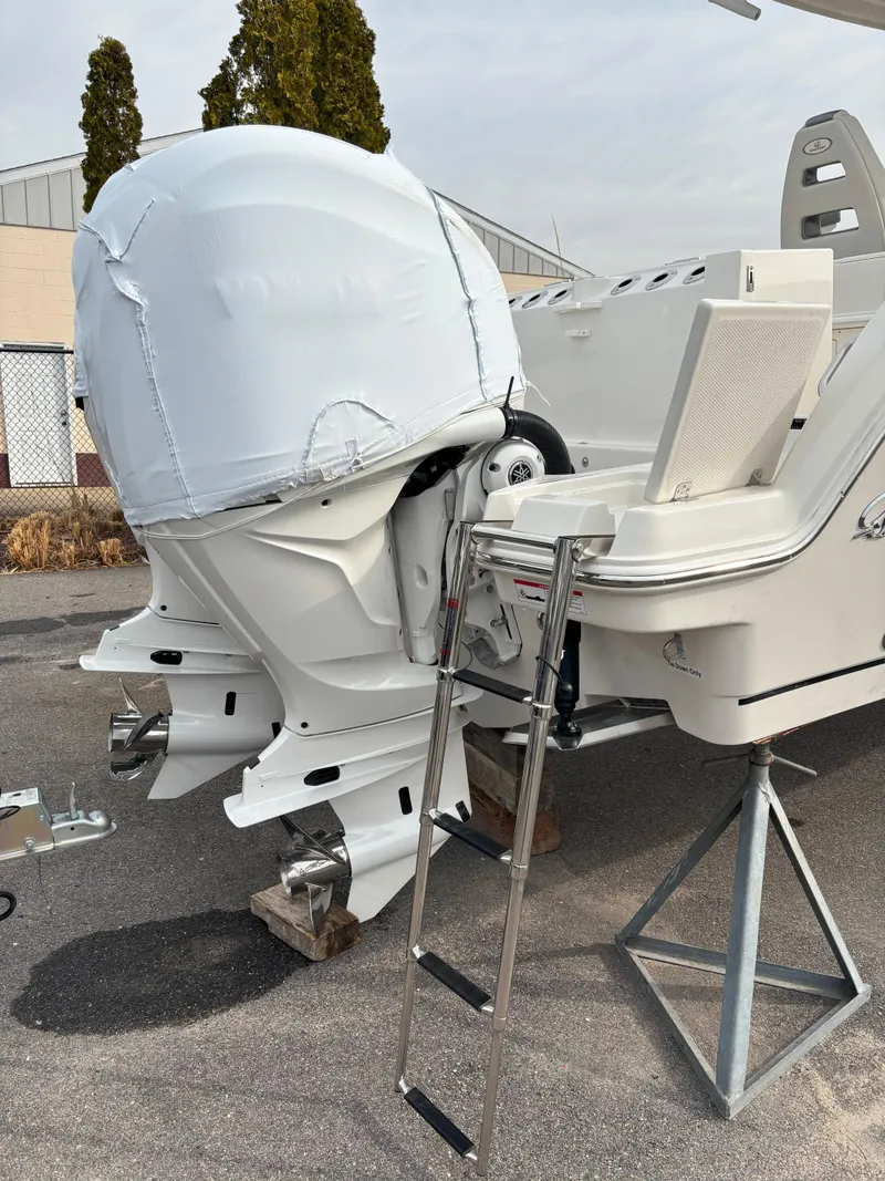 Slide: The Image of Sailfish 272 CC 2025 - 37