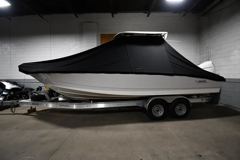 Slide: The Image of Boston Whaler 250 Dauntless 2022 - 51