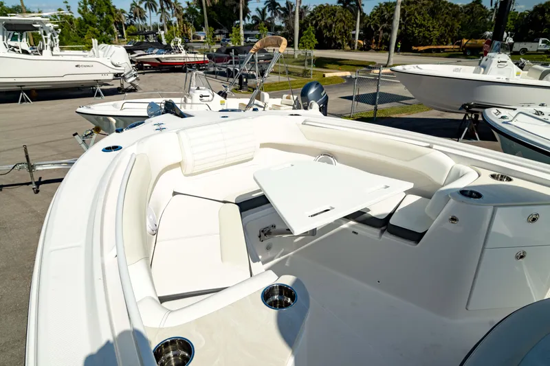 Slide: The Image of Edgewater 262CC 2025 - 59