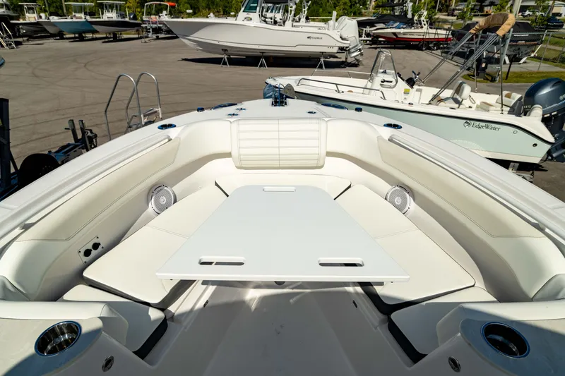 Slide: The Image of Edgewater 262CC 2025 - 60