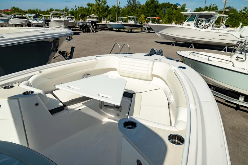 Slide: The Image of Edgewater 262CC 2025 - 61