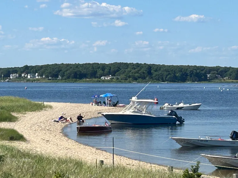 Slide: The Image of Boats anchored near a sandy beach, featuring a 2018 Grady-White Freedom 255. - 37