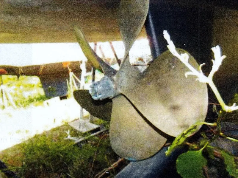 Slide: The Image of Propeller of 1999 Custom 30 Novi Hardtop Cruiser with surrounding foliage. - 16