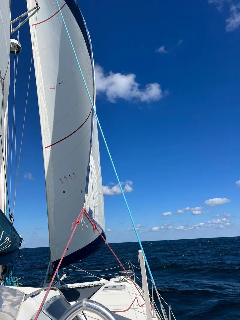 Slide: The Image of Sailing on a 2003 Catana 431 catamaran under clear blue skies. - 5