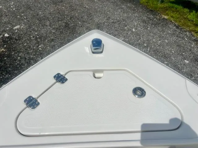 Slide: The Image of Sailfish 242 CC 2022 - 10