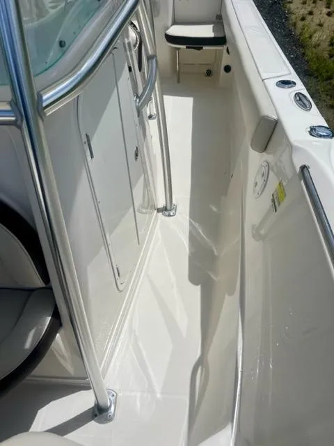 Slide: The Image of Sailfish 242 CC 2022 - 12