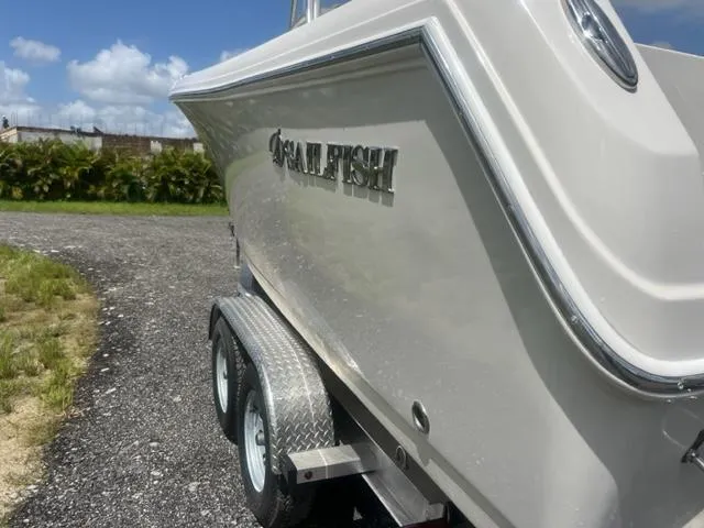 Slide: The Image of Sailfish 242 CC 2022 - 9