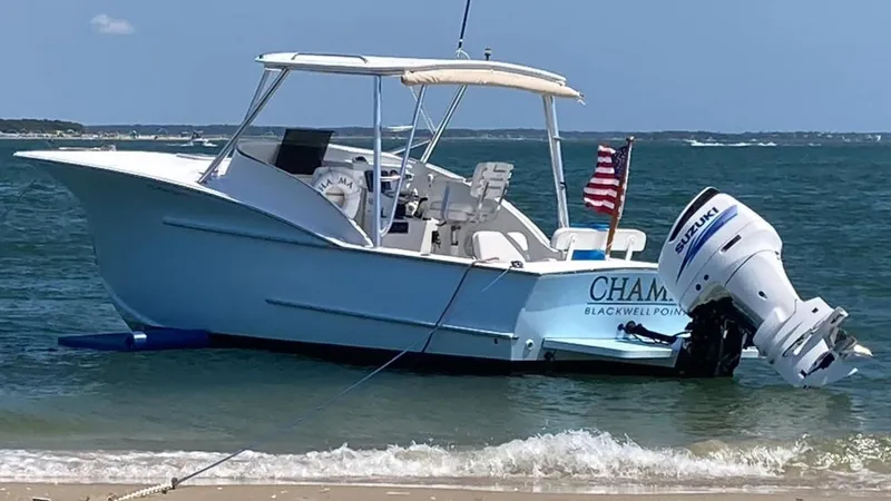 The Image of Custom Carolina 26 boat, 2011 model, anchored on a sandy beach with an American flag. - 0