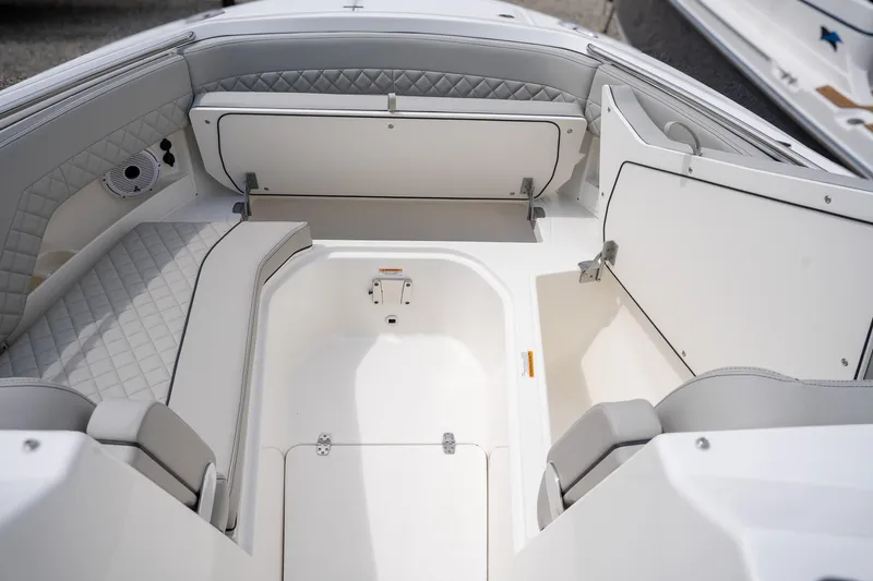 Slide: The Image of Pursuit DC 306 2025 - 24