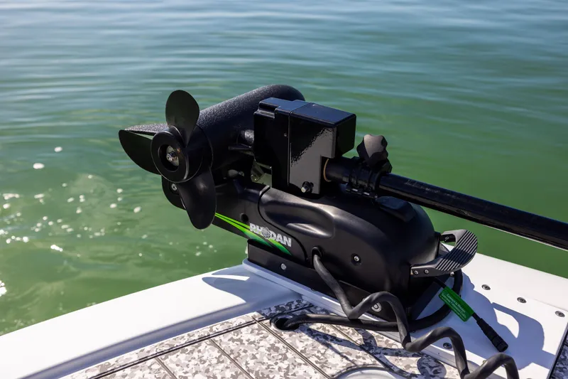 Slide: The Image of Freeman 37 VH 2022 - 54