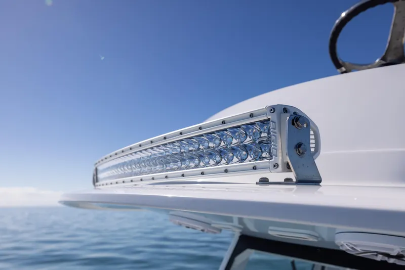 Slide: The Image of Freeman 28 2025 - 50