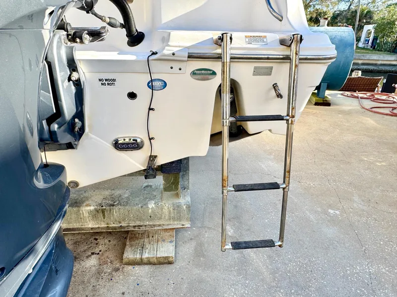 Slide: The Image of 2018 Sea Fox 226 Commander boat with a metal ladder on the stern. - 22