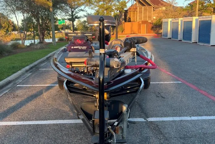 Slide: The Image of Bass Cat Eyra 2018 - 10