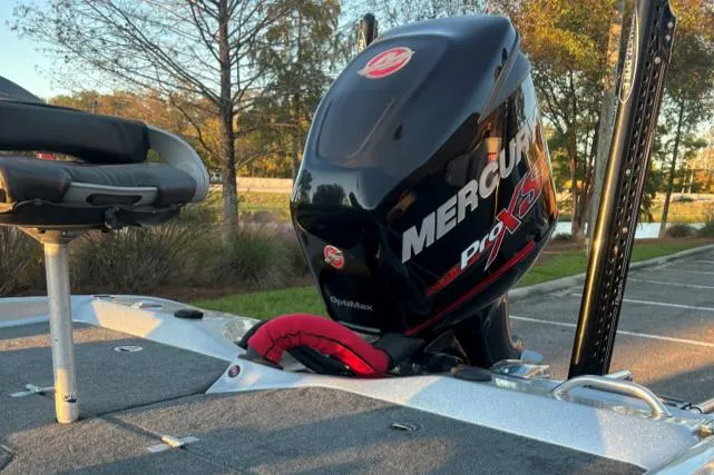 Slide: The Image of Bass Cat Eyra 2018 - 11