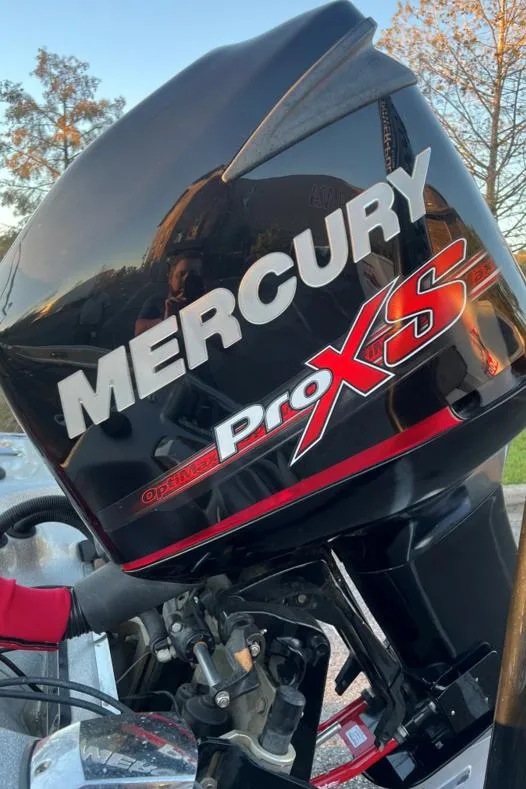 Slide: The Image of Bass Cat Eyra 2018 - 13