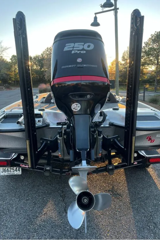 Slide: The Image of Bass Cat Eyra 2018 - 2