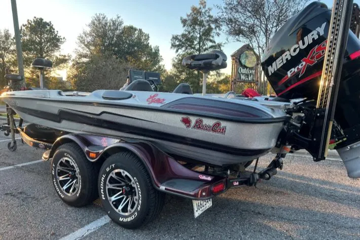 Slide: The Image of Bass Cat Eyra 2018 - 3