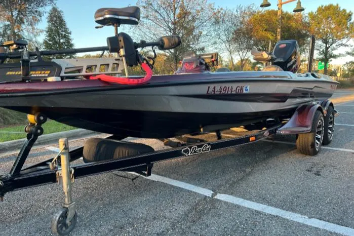 Slide: The Image of Bass Cat Eyra 2018 - 4