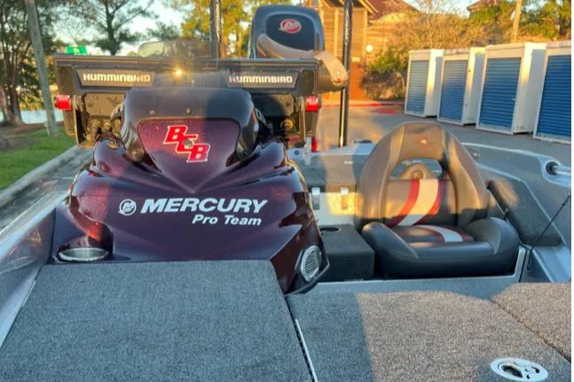 Slide: The Image of Bass Cat Eyra 2018 - 5