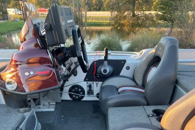 Slide: The Image of Bass Cat Eyra 2018 - 6