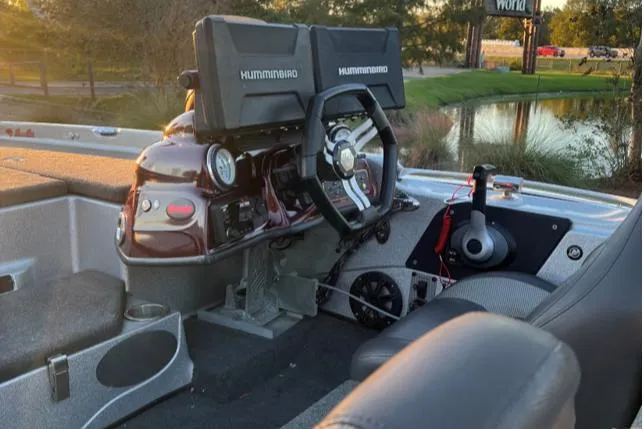 Slide: The Image of Bass Cat Eyra 2018 - 7