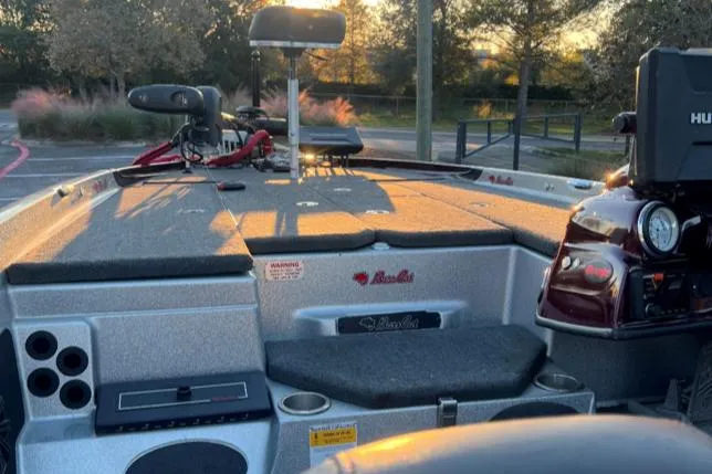 Slide: The Image of Bass Cat Eyra 2018 - 8