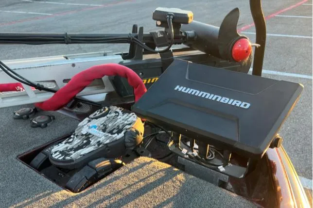 Slide: The Image of Bass Cat Eyra 2018 - 9