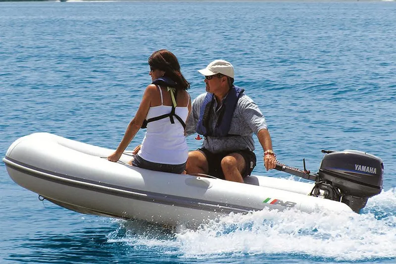 The Image of Manufacturer Provided Image - 0