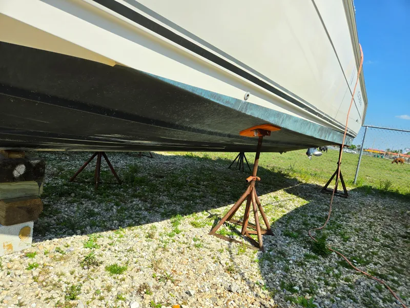 Slide: The Image of Cobia 316 Sport Cabin 2008 - 56