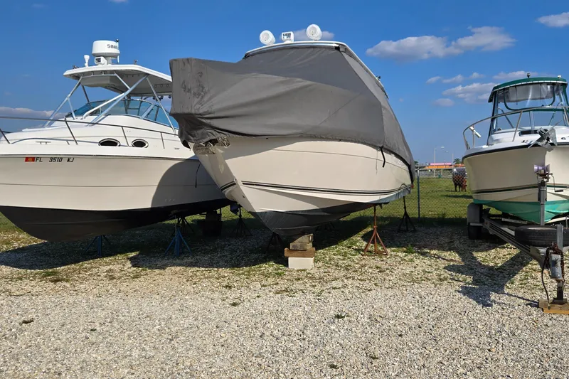 Slide: The Image of Cobia 316 Sport Cabin 2008 - 58