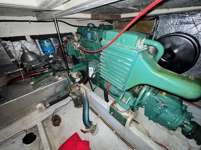 Slide: The Image of Prowler Cooper 1989 - 30