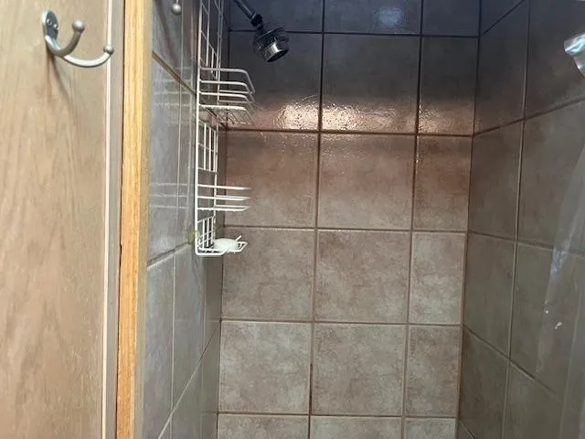 Slide: The Image of Shower area in 1988 Stardust Cruisers houseboat with tiled walls and metal shower caddy. - 11