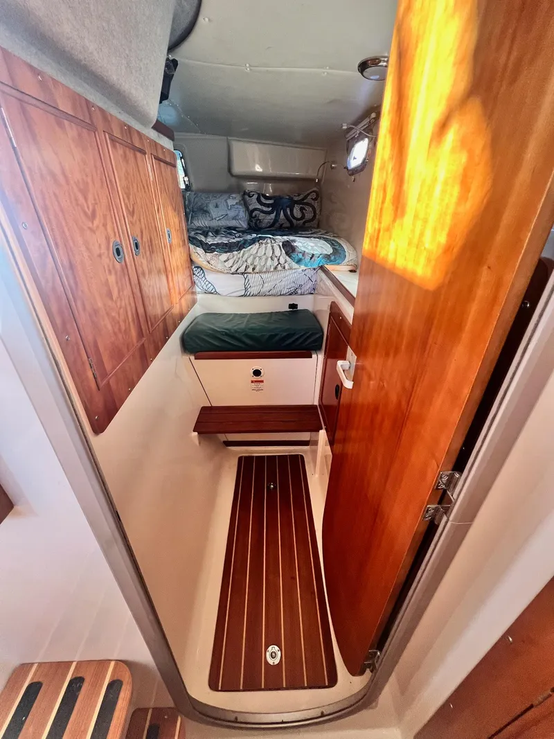 Slide: The Image of PDQ MV34 2006 - 119